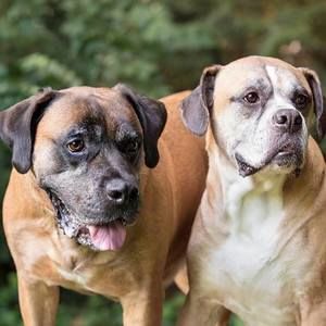 Meet your Posher, Tommy